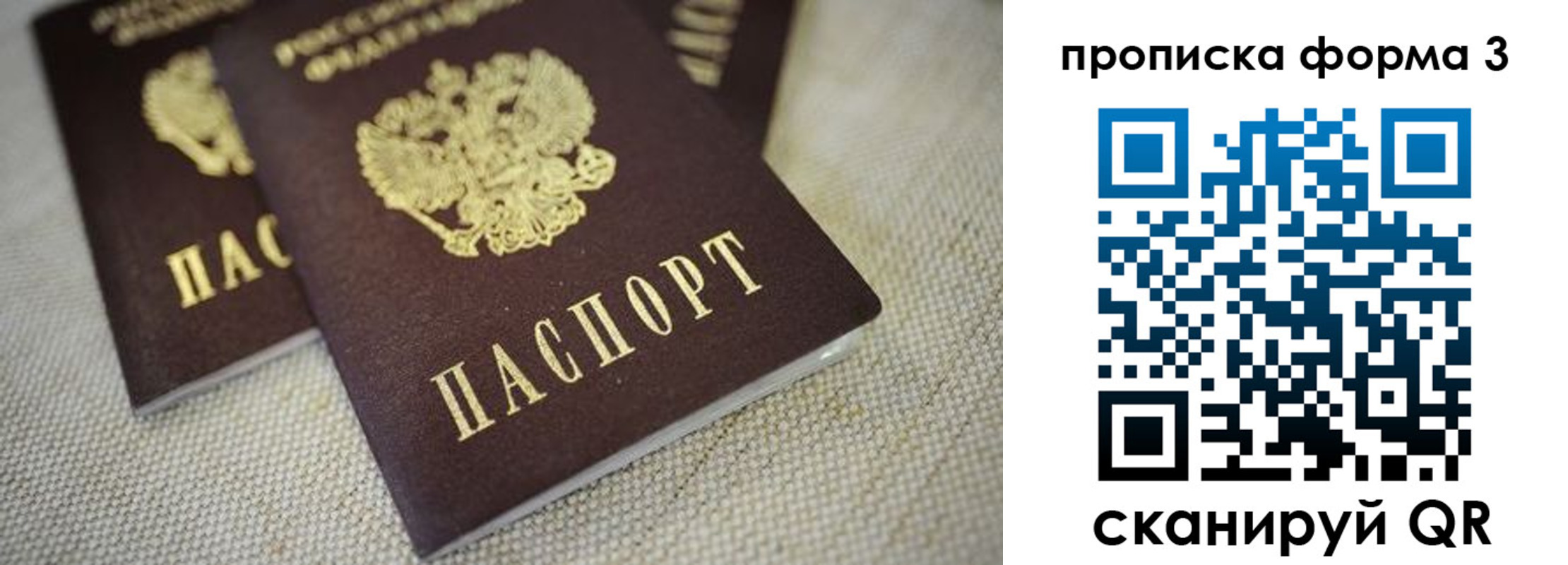 прописка поиск в Северске